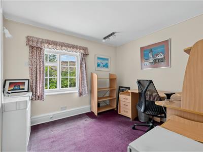Picture 21